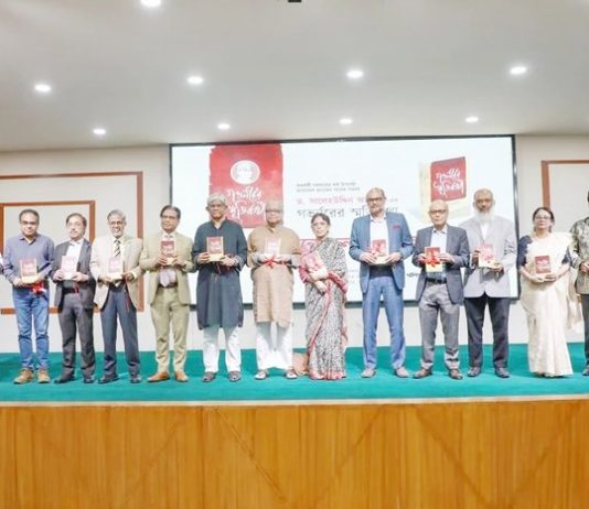 সরকারের প্রচেষ্টায় দেশের অর্থনীতি ঘুরে দাঁড়াচ্ছে : ড. সালেহউদ্দিন