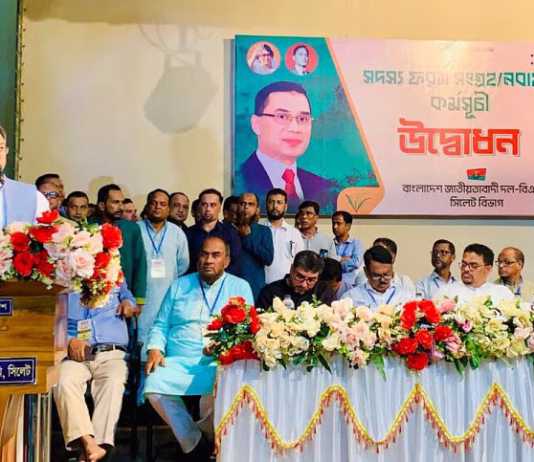 বৃহত্তর আন্দোলনের হুঁশিয়ারি বিএনপির স্থায়ী কমিটির সদস্য সালাহউদ্দিন আহমেদের