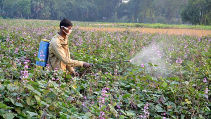 pesticide_1