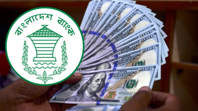 dollar-bb-2_1 (2)